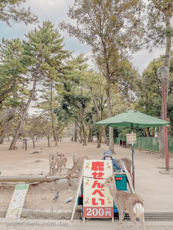 奈良公園-鹿仙貝